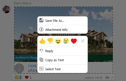 Message menu in Virola Messenger